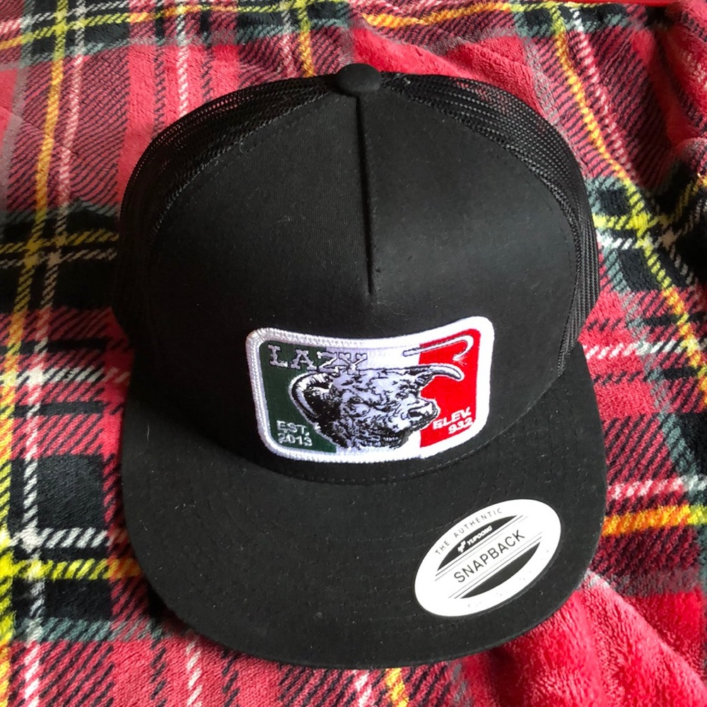 Hat worn a few times lazyboy hat